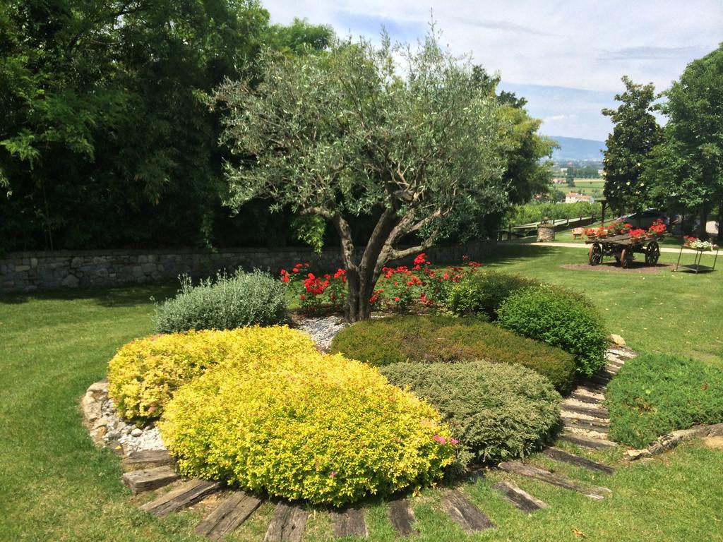 Agriturismo Al Colle Del Ciliegio Villa Rovolon Luaran gambar