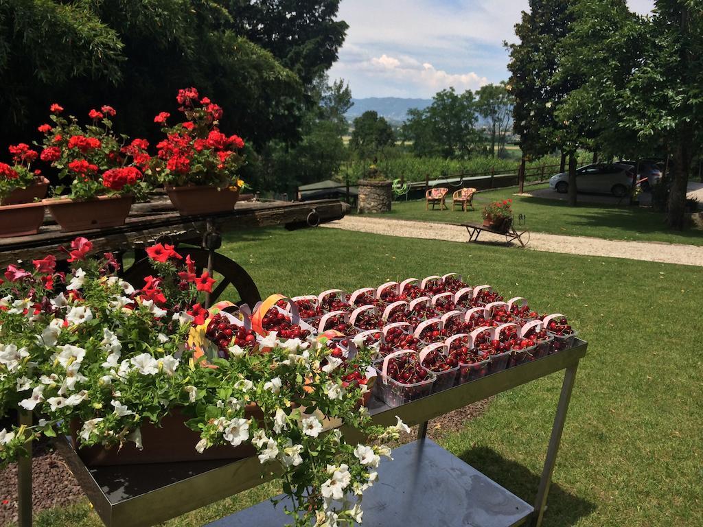 Agriturismo Al Colle Del Ciliegio Villa Rovolon Luaran gambar